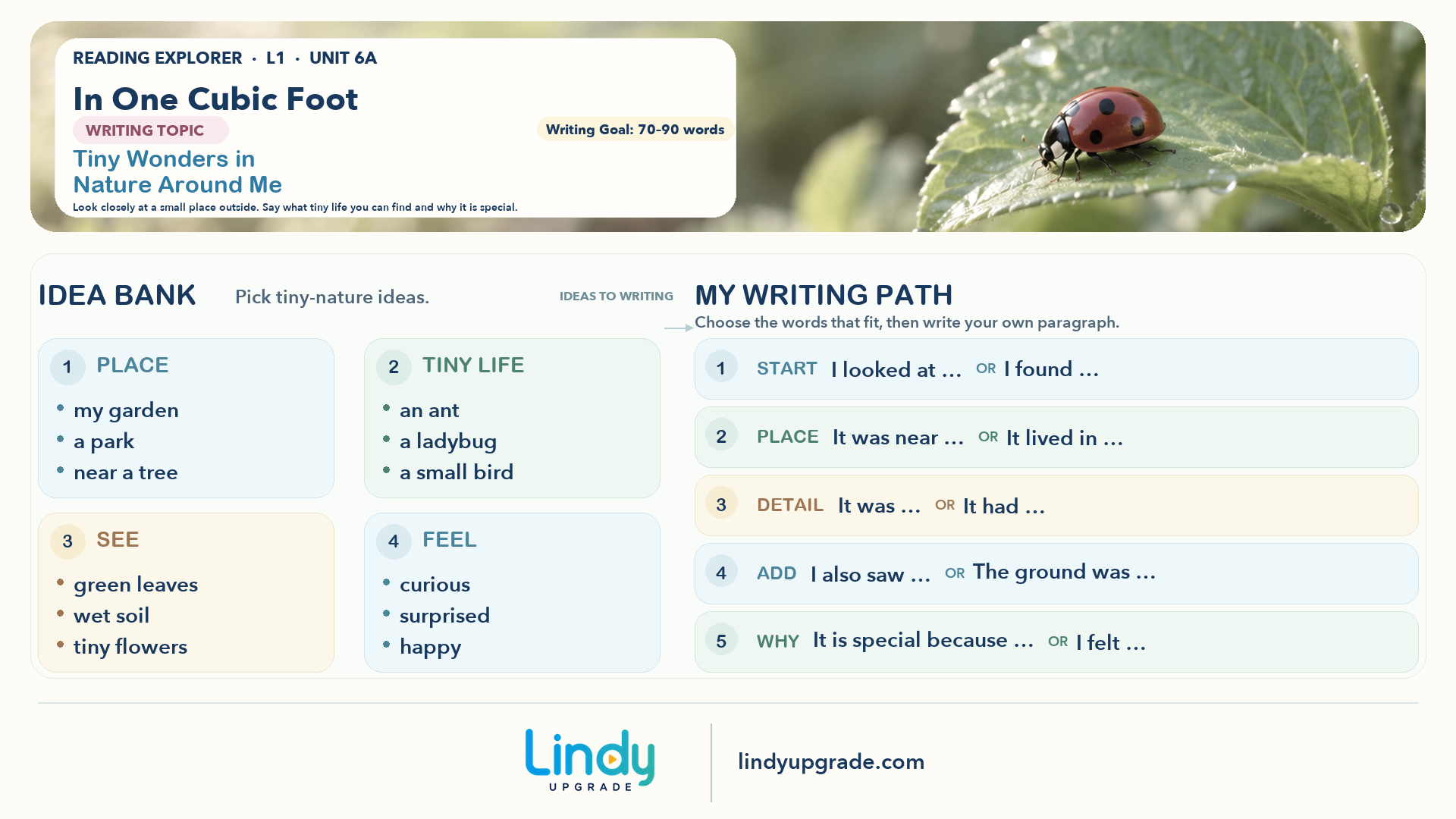 Level 1 Unit 6A Tiny Wonders in Nature Around Me 横版写作导图